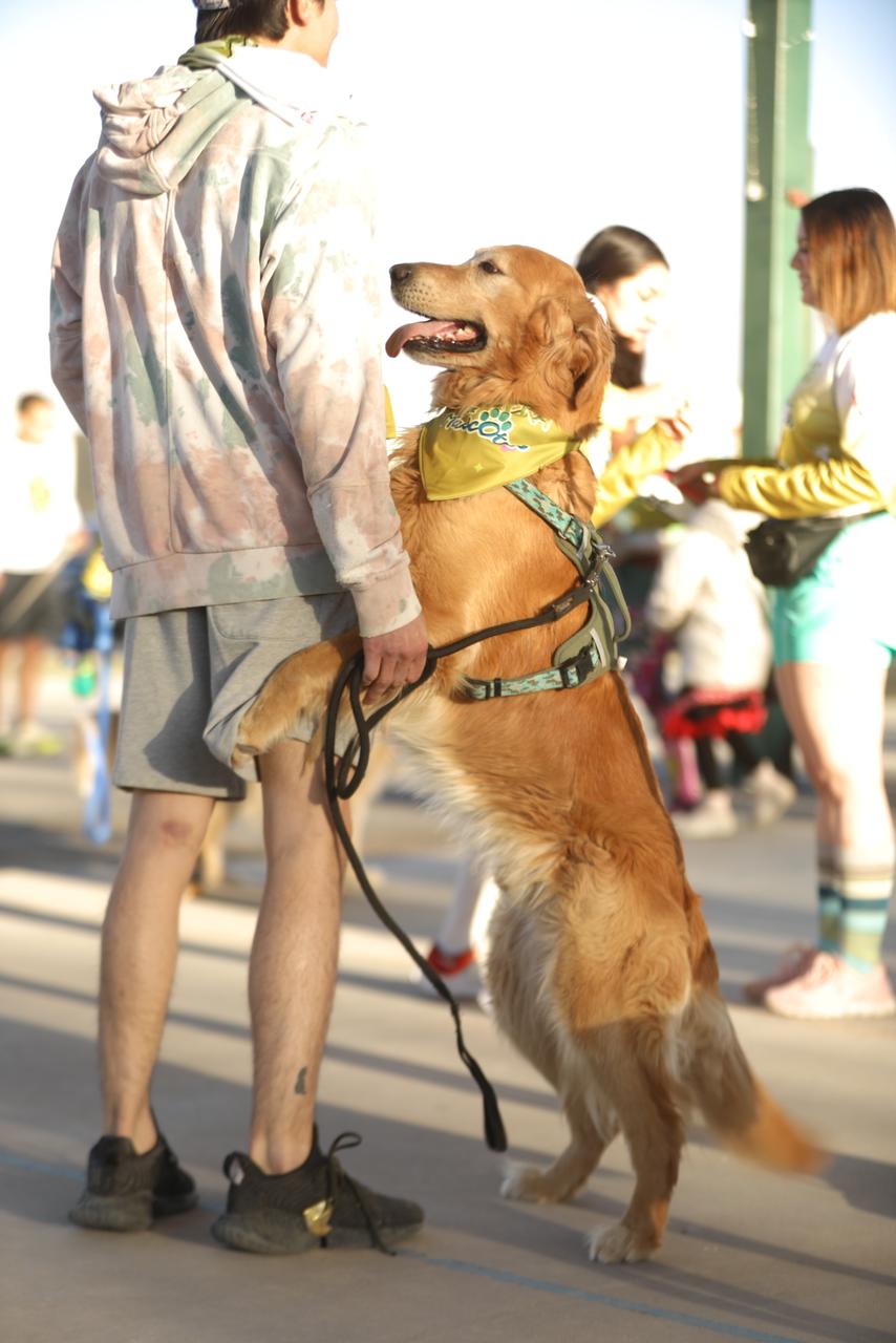 CARRERA CON MASCOTAS EN CD JUÁREZ