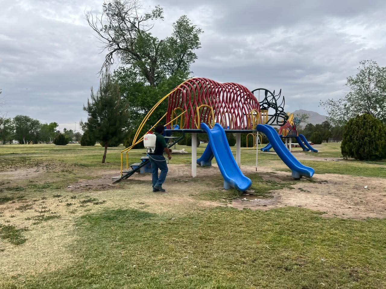 ADIÓS GARRAPATAS DEL CHAMIZAL